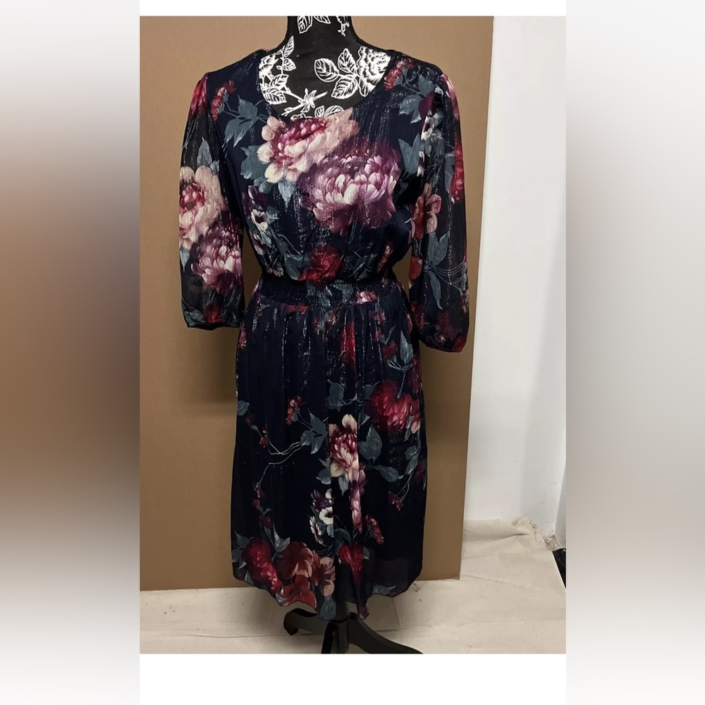 Alexa B nites dress